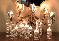 100 Floating White Pearls and Sparkling Gems - Fills 2 Gallons of the Transparent Water Gels for the Floating Effect- With Exclusive Measured Prep Bags - Option: 6 Submersible Fairy Lights Strings